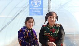 ФАО передала теплицы малообеспеченным семьям, занесённым в реестр «железная тетрадь» в Кашкадарьинской области