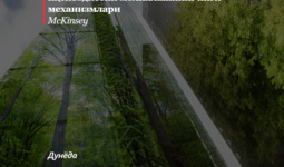 Табиатга инвестиция йўналтириш: яшил иқтисодиётни молиялашнинг янги механизмлари