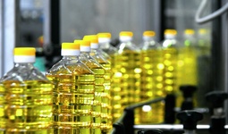 Обзор цен за неделю: стоимость растительного масла снизилась на 0,5%