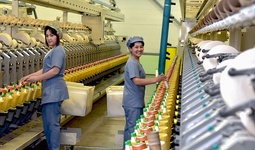 Правительство трудоустроит почти 89 тысяч безработных женщин