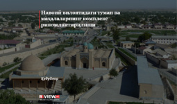 Навоий вилоятидаги туман ва маҳалаларнинг комплекс ривожлантирилиши
