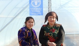 FAO built and donated 14 greenhouses for rural people of Kashkadarya region