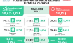 Развитие экономики Узбекистана в I-полугодии 2024 г.