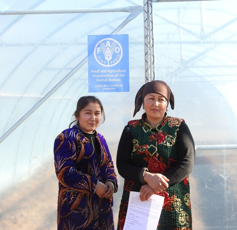 ФАО передала теплицы малообеспеченным семьям, занесённым в реестр «железная тетрадь» в Кашкадарьинской области ФАО передала теплицы малообеспеченным семьям, занесённым в реестр «железная тетрадь» в Кашкадарьинской области