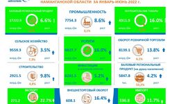 Макроэкономические показатели Наманганской области за первое полугодие 2022 года