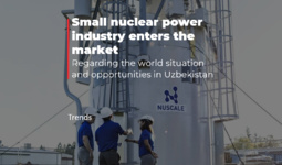 Small nuclear power industry enters the market