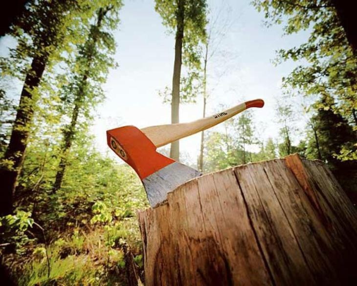 Narzulla Oblomurodov: Moratoriy davrida 188 943 tup daraxt va butalarni kesishga ruxsat so‘ralgan murojaatlar kelib tushdi Narzulla Oblomurodov: Moratoriy davrida 188 943 tup daraxt va butalarni kesishga ruxsat so‘ralgan murojaatlar kelib tushdi