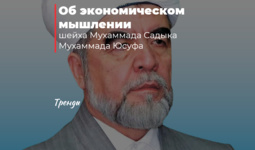 Об экономическом мышлении шейха Мухаммада Садыка Мухаммада Юсуфа