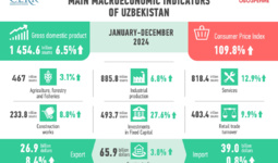 Economic Development of Uzbekistan in 2024