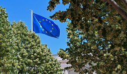 Углеродный рынок ЕС: баланс климатических целей и экономической устойчивости