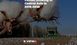 Cotton Growing in Central Asia in 2016–2025