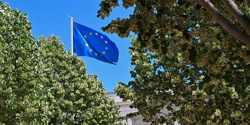 Углеродный рынок ЕС: баланс климатических целей и экономической устойчивости