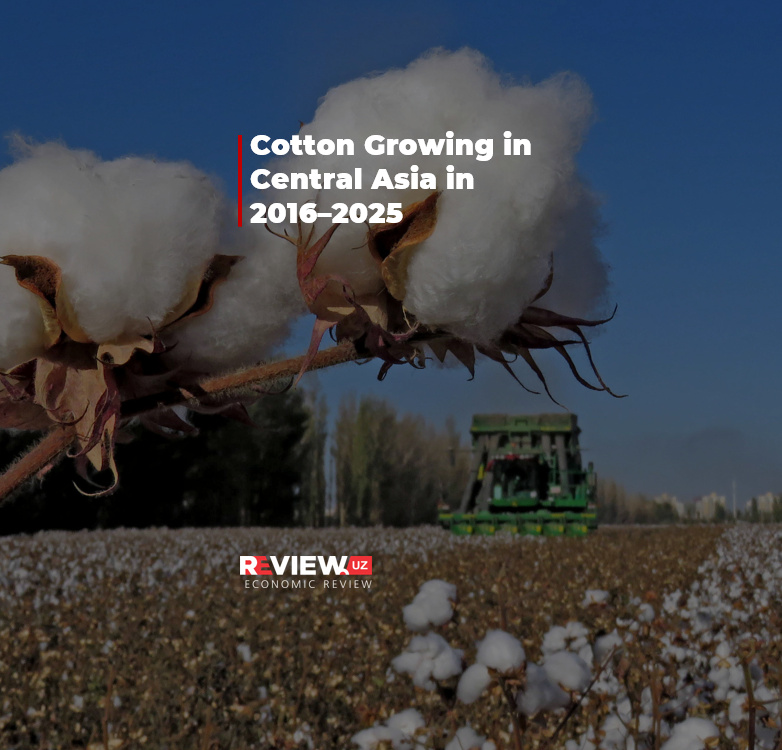 Cotton Growing in Central Asia in 2016–2025