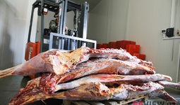 Ўзбекистон Қозоғистондан гўшт ва сут маҳсулотларини олиб кириш бўйича чекловларни олиб ташлади