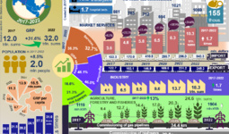 Infografika: 2017-2022 yillarda Xorazm viloyatining ijtimoiy-iqtisodiy rivojlanishi (+video)