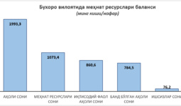 Бухоро вилоятида 2022 йил якунлари ҳамда 2023 йилга аҳоли бандлигини таъминлаш бўйича белгиланган вазифалар