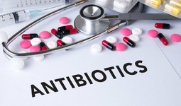 Проблема устойчивости к антибиотикам