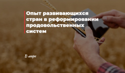 Опыт развивающихся стран в реформировании продовольственных систем