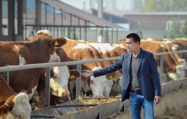 Чорвачилик билан шуғулланувчи хўжаликлар учун субсидия ажратиш тартиби белгиланди Чорвачилик билан шуғулланувчи хўжаликлар учун субсидия ажратиш тартиби белгиланди