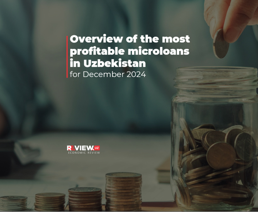 Overview of the most profitable microloans in Uzbekistan for December 2024 Overview of the most profitable microloans in Uzbekistan for December 2024