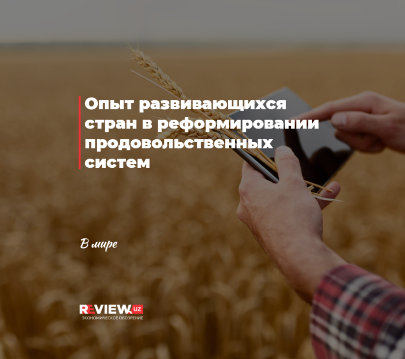 Опыт развивающихся стран в реформировании продовольственных систем Опыт развивающихся стран в реформировании продовольственных систем