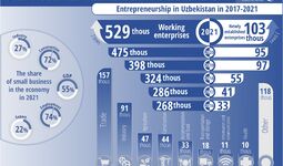 Infographics: Entrepreneurship development in Uzbekistan in 2017-2021