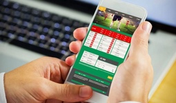 В Узбекистане легализовали букмекерский бизнес