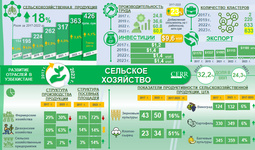 Инфографика: Развитие сельского хозяйства в Узбекистане в 2017 – 2023гг