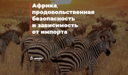 Африка, продовольственная безопасность и зависимость от импорта