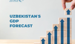 CERR forecasts Uzbekistan's GDP growth in 2023 at the level of 5.6%