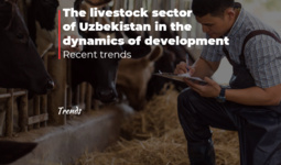 The livestock sector of Uzbekistan in the dynamics of development