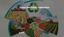 Жиззах вилоятининг агроэкспорти