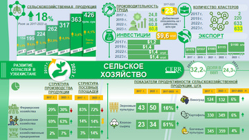 Инфографика: Развитие сельского хозяйства в Узбекистане в 2017 – 2023гг