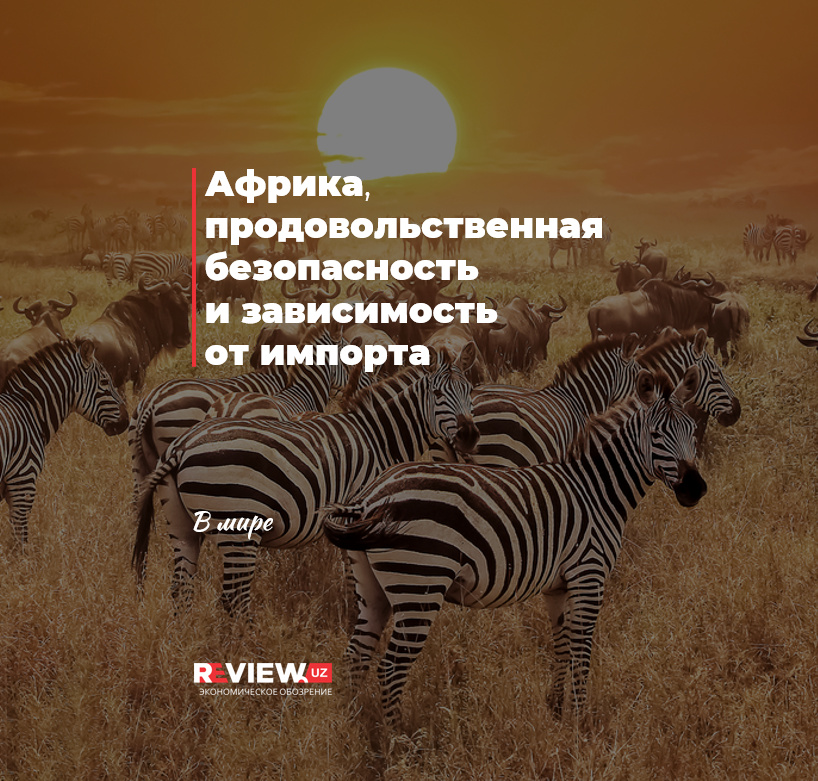 Африка, продовольственная безопасность и зависимость от импорта Африка, продовольственная безопасность и зависимость от импорта