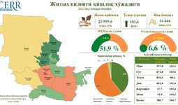 Инфографика: Жиззах вилояти қишлоқ хўжалиги соҳасининг 2022 йил якунлари