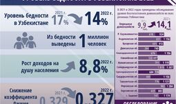 Оценка уровня бедности в Узбекистане за 2022 год (+инфографика)