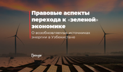 Правовые аспекты перехода к «зеленой» экономике