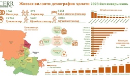 Жиззах вилоятининг   2023 йил январь-июнь ойлари  бўйича демографик ҳолати таҳлил қилинди