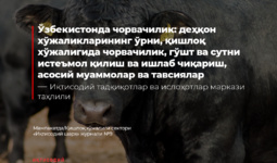 Dehqon xo‘jaliklari chorvachilikni harakatlantiruvchi kuch sifatida