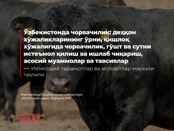 Деҳқон хўжаликлари чорвачиликни ҳаракатлантирувчи куч сифатида - Review.uz