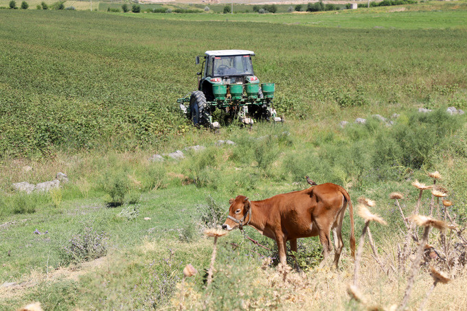 O‘zbekiston Prezidenti yerni sotish va ajratish tizimini isloh qilish to‘g‘risidagi farmonni imzoladi. Asosiylari