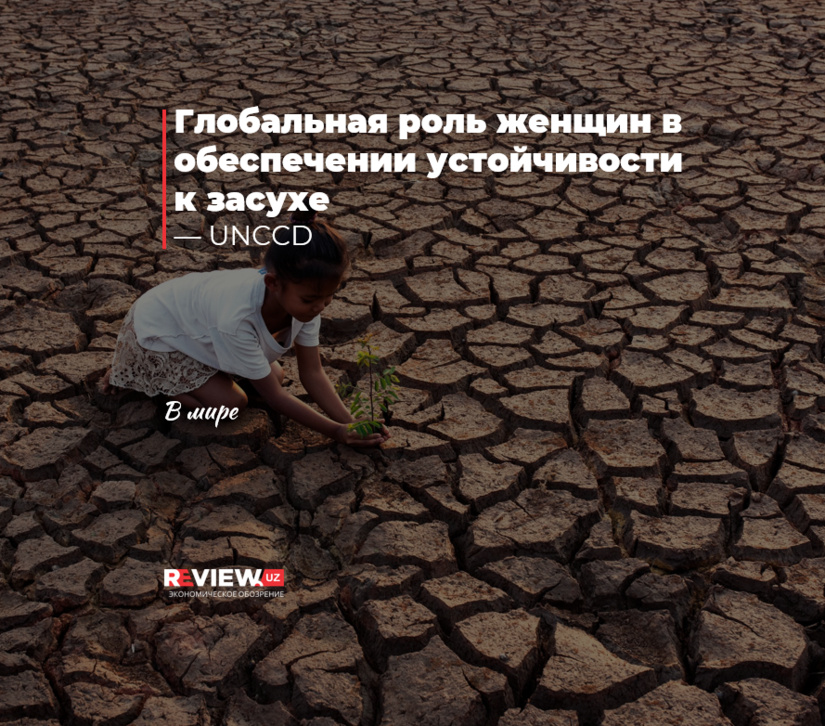 Глобальная роль женщин в обеспечении устойчивости к засухе — UNCCD