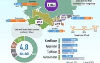 Infographics: