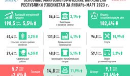 Инфографика: Развитие экономики Узбекистана в 1 квартале 2023 г.