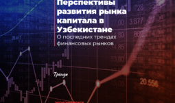 Перспективы развития рынка капитала в Узбекистане