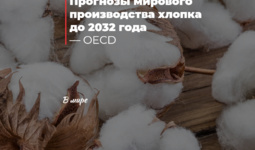Прогнозы мирового производства хлопка до 2032 года — OECD