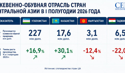 Развитие кожевенно-обувной отрасли стран Центральной Азии в I полугодии 2026 г.