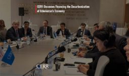 CERR Discusses Financing the Decarbonization of Uzbekistan’s Economy