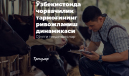 Ўзбекистонда чорвачилик тармоғининг ривожланиш динамикаси