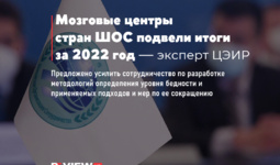 Мозговые центры стран ШОС подвели итоги за 2022 год — эксперт ЦЭИР